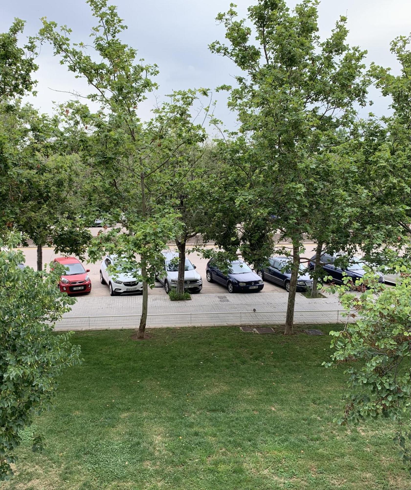 Art And Sciences View Luxury Apartment Valencia Bagian luar foto